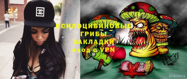 spice Абаза