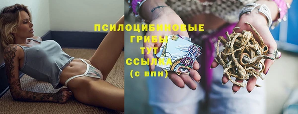 спиды Абдулино