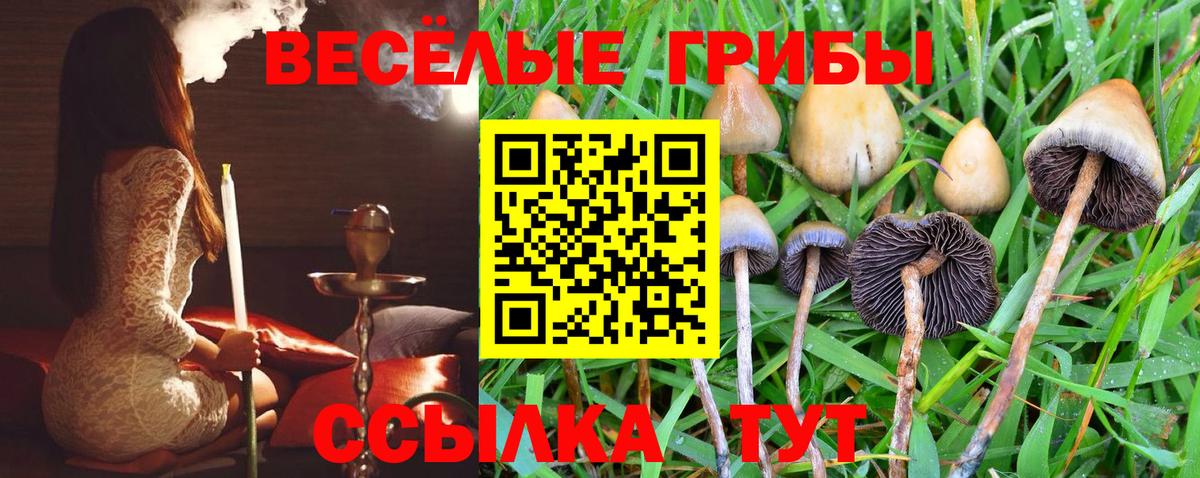Бугуруслан  Галлюциногенные грибы мицелий  Вход с VPN 