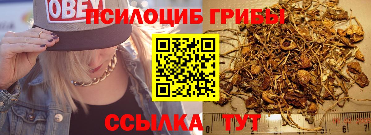 Псилоцибиновые грибы мицелий Бугуруслан